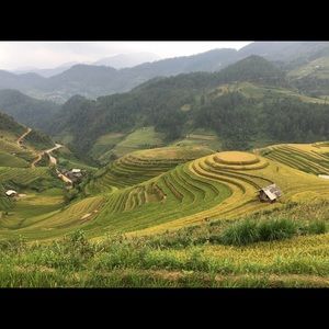 Meet your Posher, Nguyen