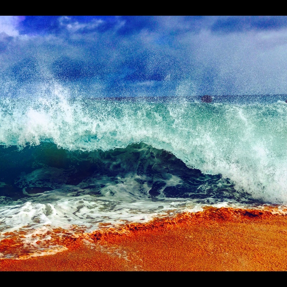 Meet your Posher, Mollye