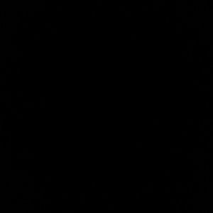 Meet your Posher, Kenneth