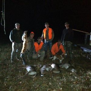 Meet your Posher, Eli