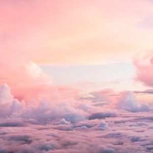 Meet your Posher, Nia