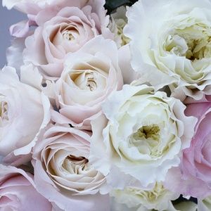 Meet your Posher, Camille