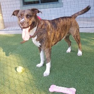 Meet your Posher, Tamia