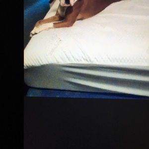 Meet your Posher, Jeanette