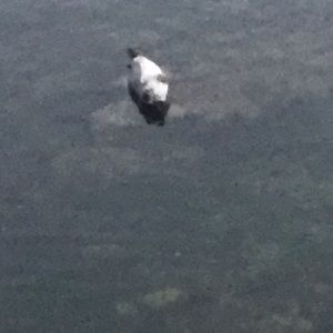 Meet your Posher, Drake