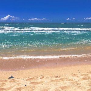 Meet your Posher, Ivy