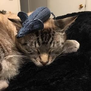 Meet your Posher, Georgia