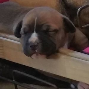 Meet your Posher, Angela