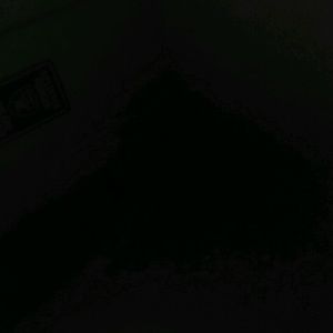 Meet your Posher, Oscar