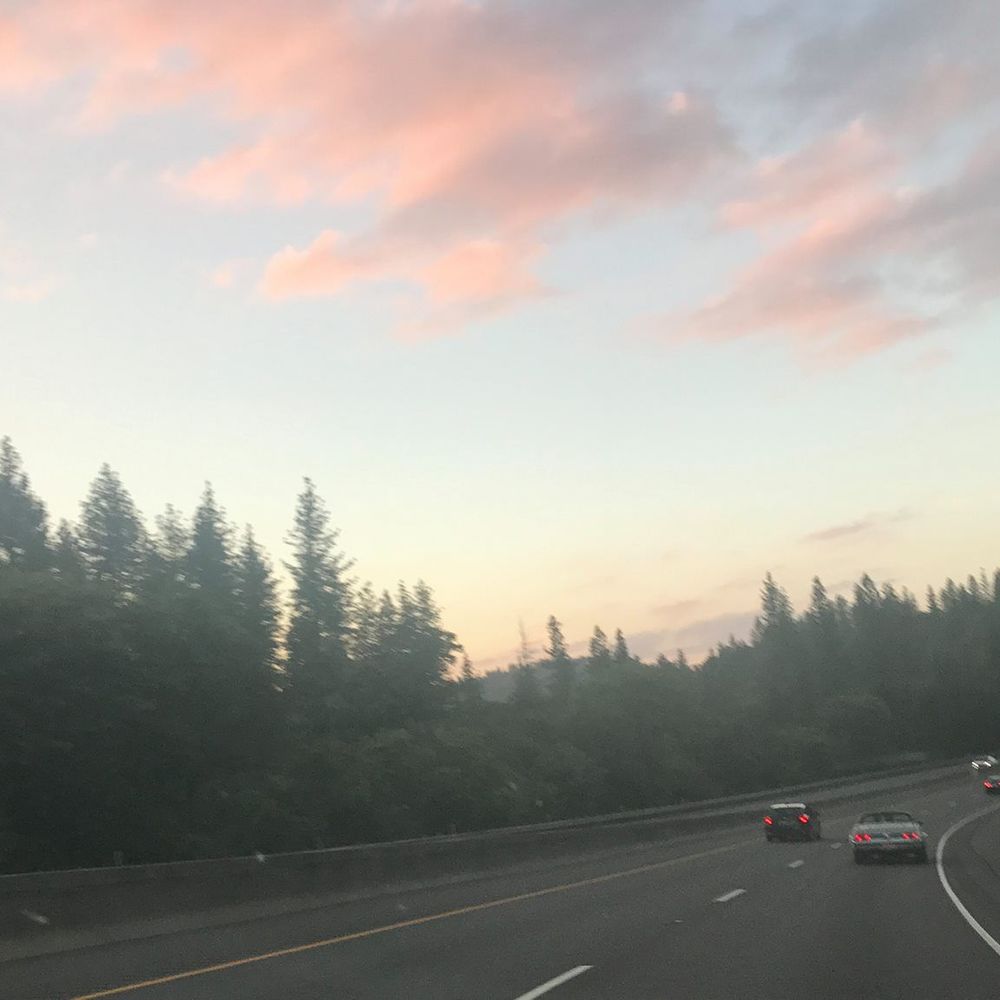 Meet your Posher, Lucy