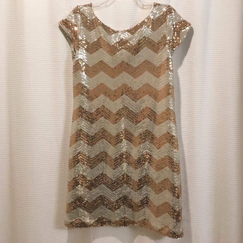 Silver and gold sequin dress. About a size 10.