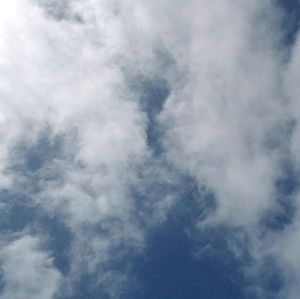 Meet your Posher, Rhonda