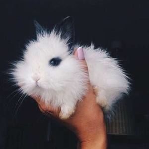 Meet your Posher, Fatima