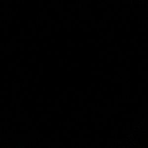 Meet your Posher, Trinity