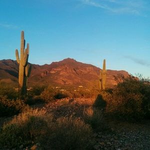 Meet your Posher, Elle