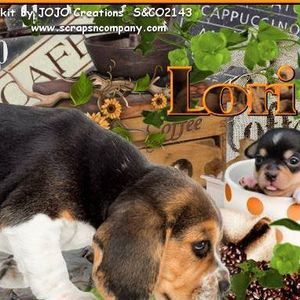Meet your Posher, Lori