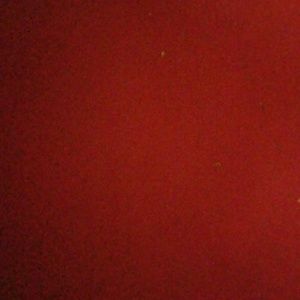 Meet your Posher, Araceli