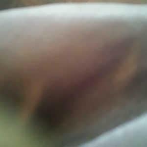 Meet your Posher, Idiot