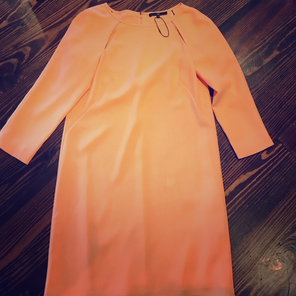 Tibi dress