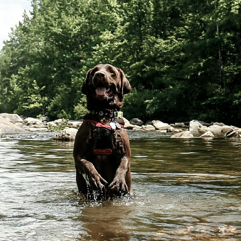 Meet your Posher, Jaime