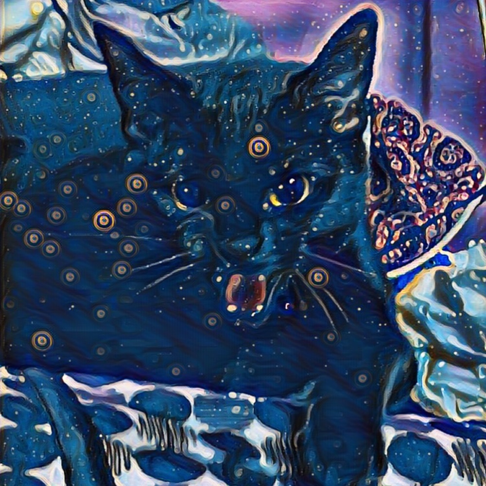 Meet your Posher, Ally