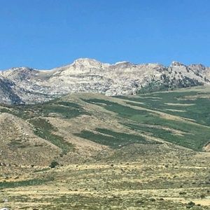 Meet your Posher, Moira