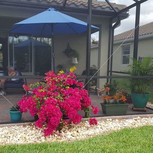 Meet your Posher, Ginny