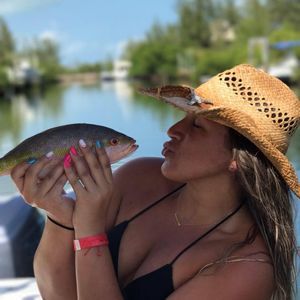 Meet your Posher, Destiny