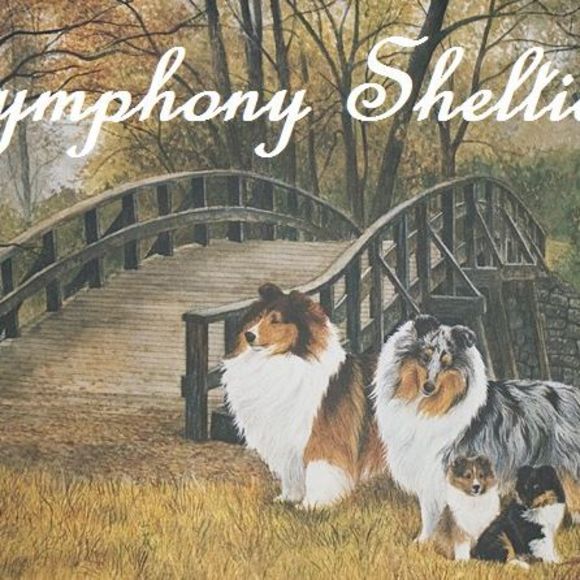 Meet your Posher, Amber - Picture 1 of 1