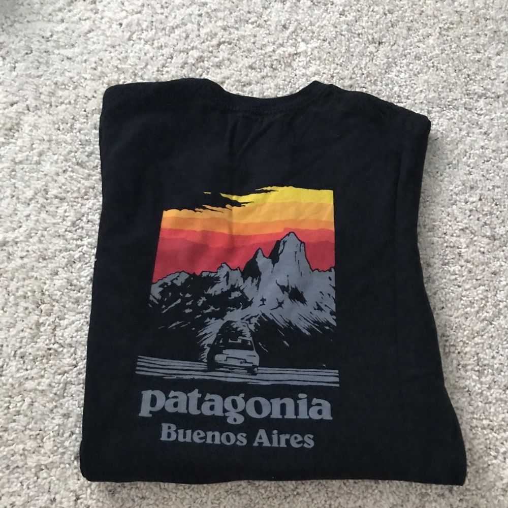 patagonia tee