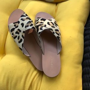 Leopard slides from Nordstrom's Topshop