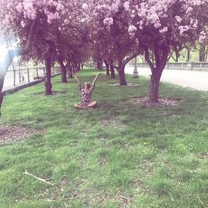 Meet your Posher, Joy