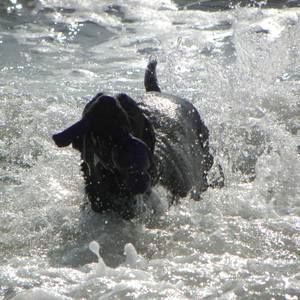 Meet your Posher, Lee