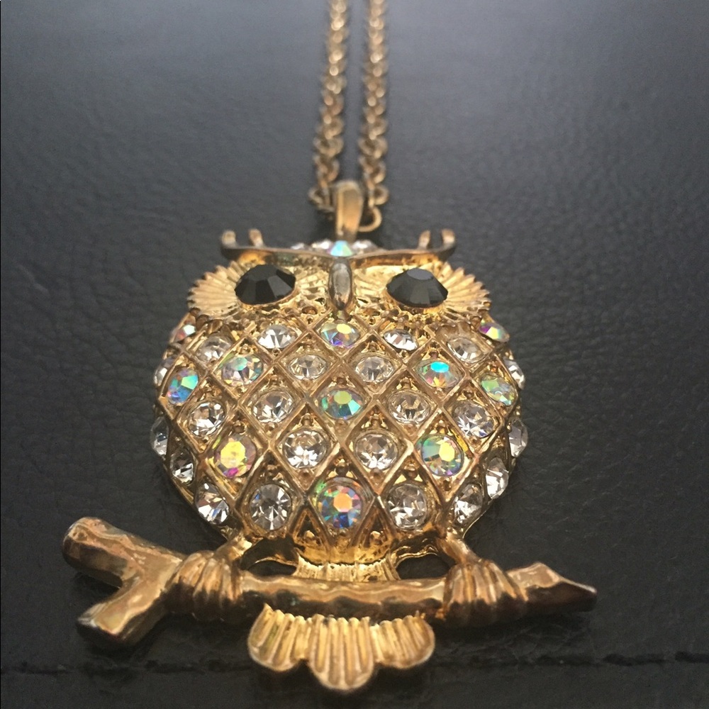 Owl pendant and chain