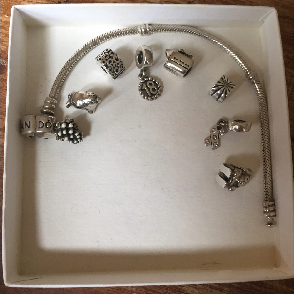 Pandora Bracelet and Charms