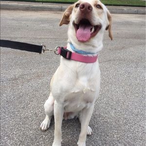 Meet your Posher, Janeth