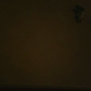 Meet your Posher, Charlotte