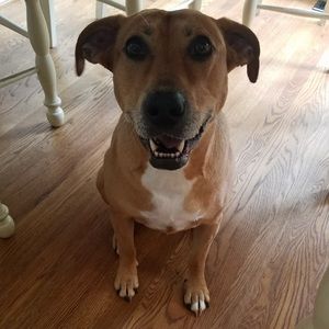 Meet your Posher, Alisa