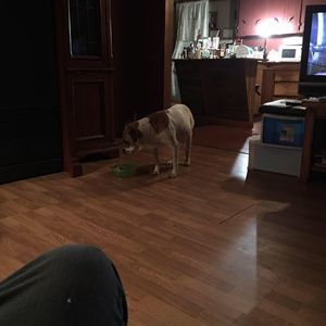 Meet your Posher, Tim