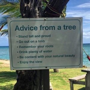 Meet your Posher, Mely