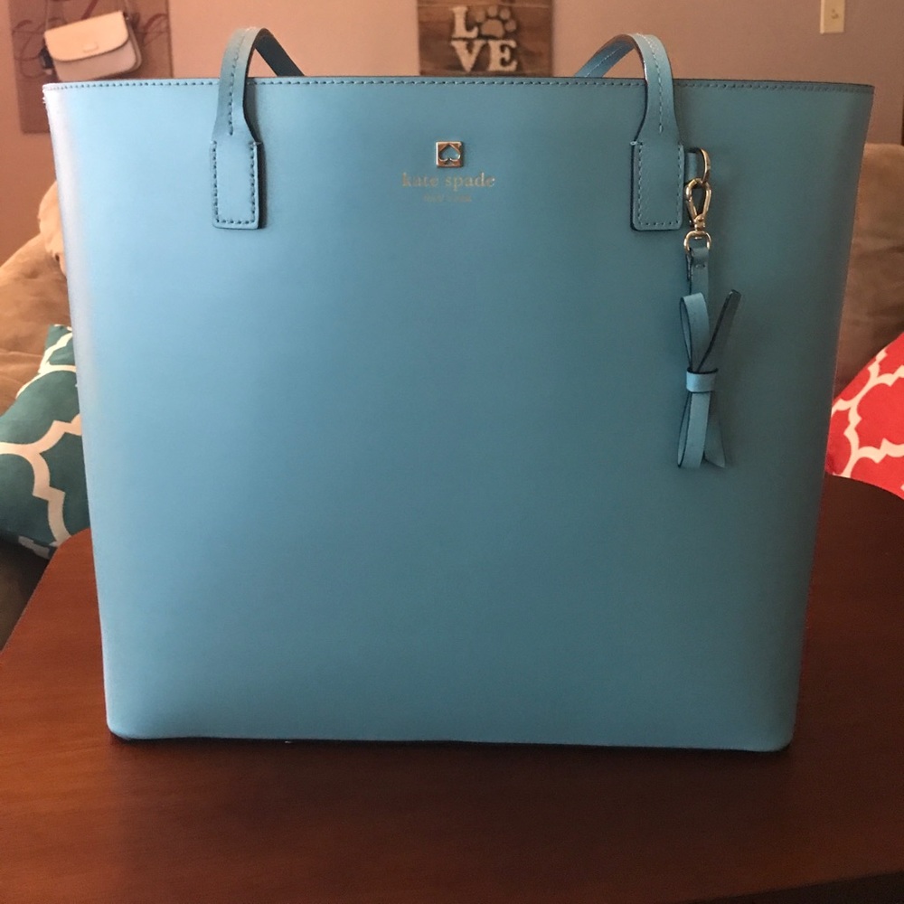 Kate Spade robins egg blue purse