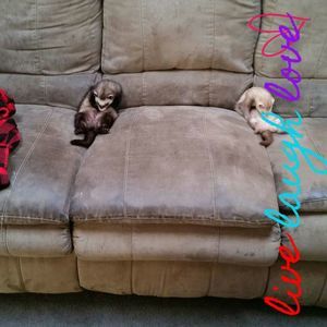 Meet your Posher, Cara