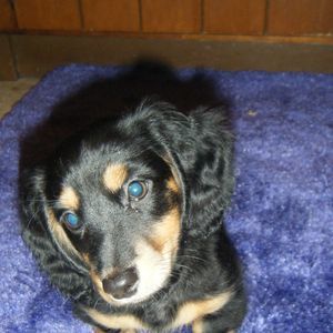 Meet your Posher, Regina