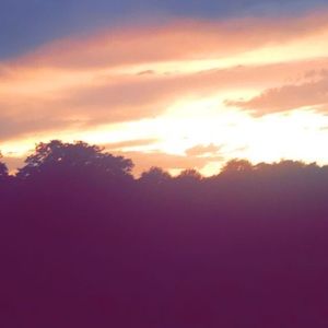 Meet your Posher, Margaret