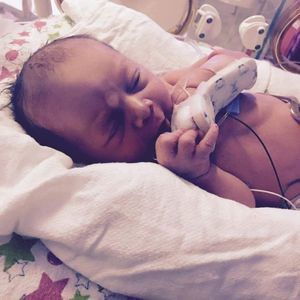 Meet your Posher, Lily