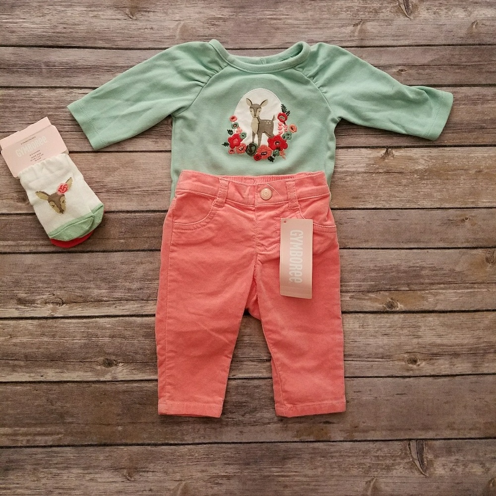 Gymboree Forrest Sprouts Outfit