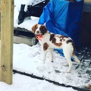 Meet your Posher, Sabrina