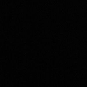 Meet your Posher, Nelly