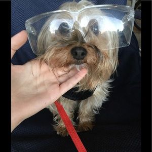 Meet your Posher, Dells