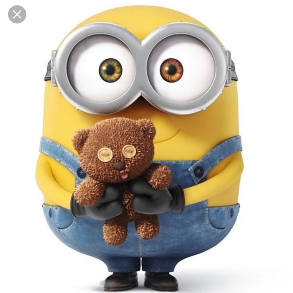 Meet your Posher, Meesie